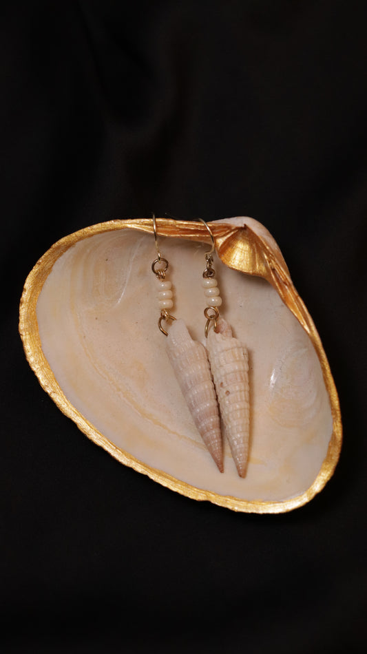 Jewelry Combo: Hand-painted Seashell dish and Seashell Dangle Earrings