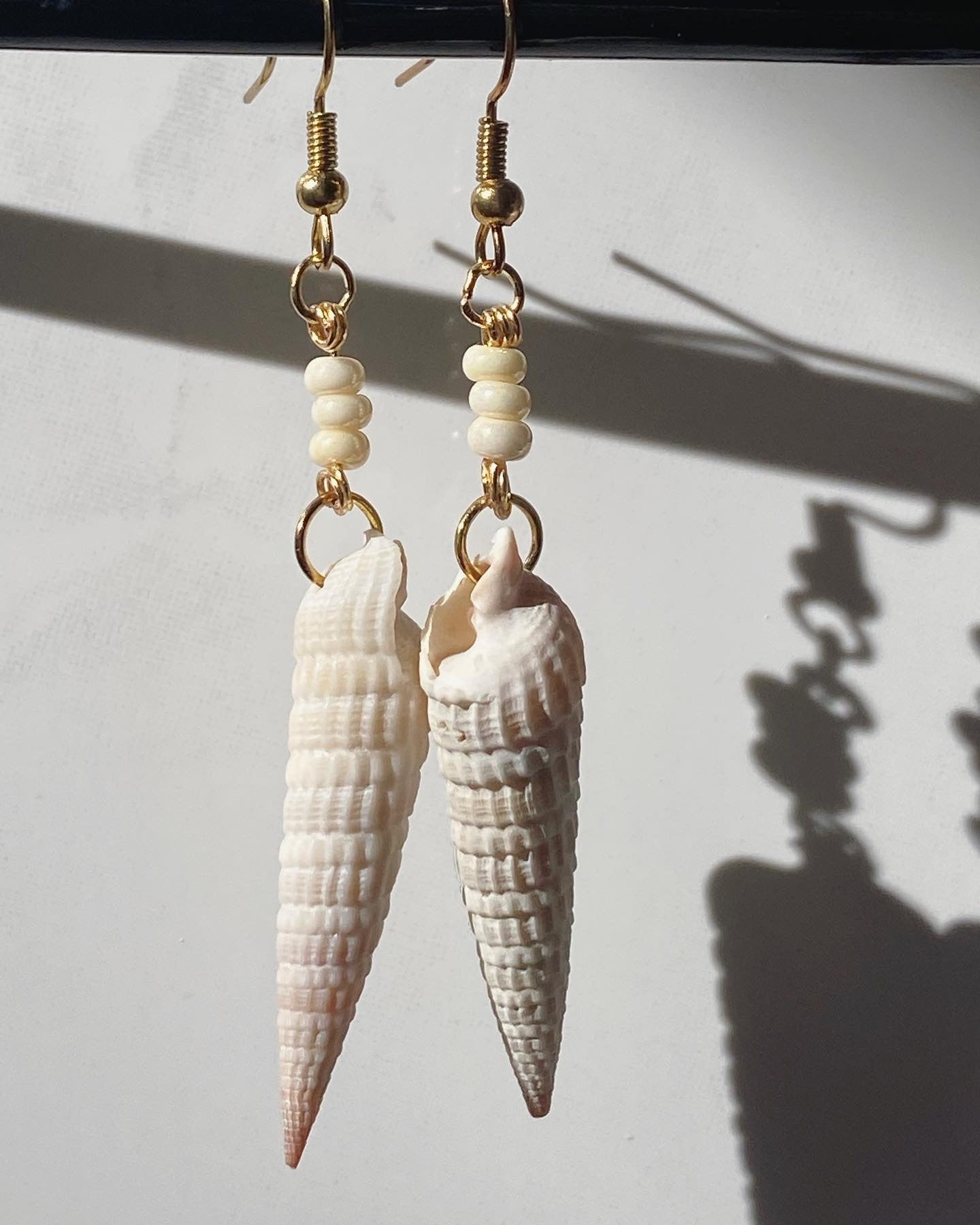 Earrings, Ocean-Picked Seashells